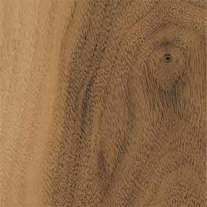 Walnut Wood Sample
